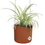 b.for swing 18cm brique